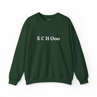 Echo